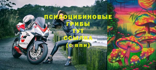трава Абаза